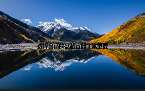 选择合适的盆栽容器非常重要